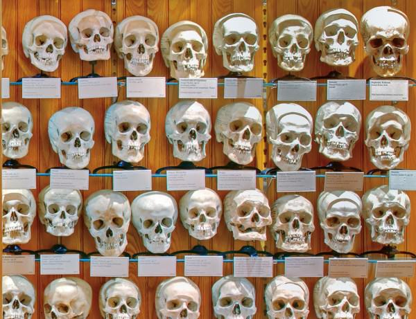 NUVO Magazine: Mütter Museum