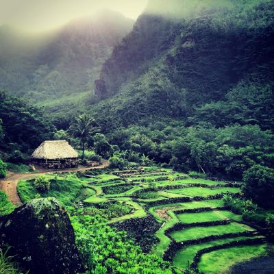 Limahuli Gardens