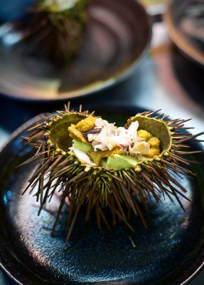Savouring Sea Urchin