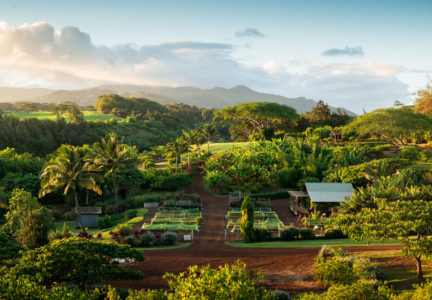 Kauai's Sunny South Shore