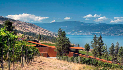 Martin's Lane Vineyard, Of Note, Autumn 2017