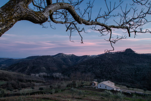 Villa Guillem