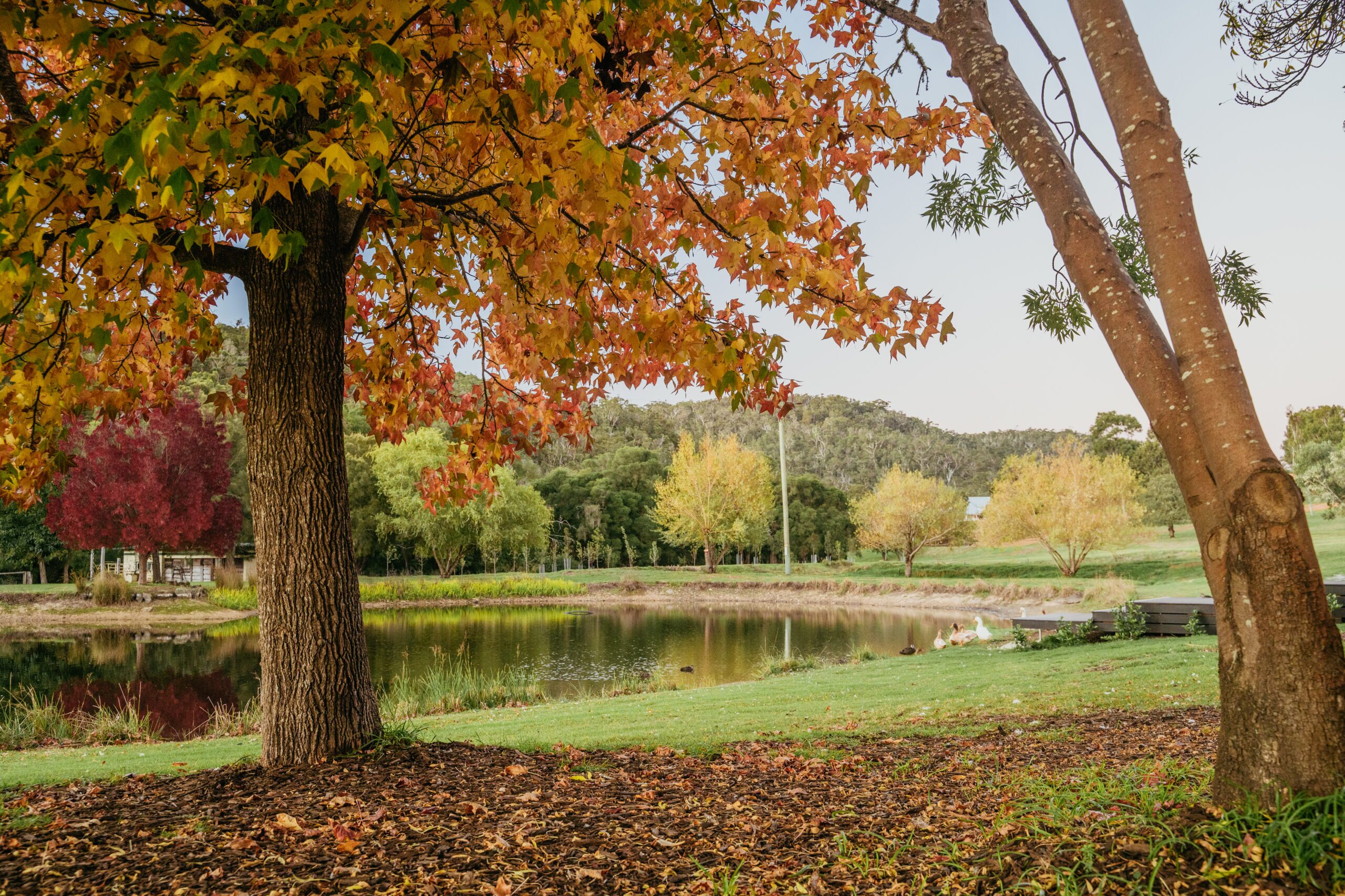 Ampersand Winery