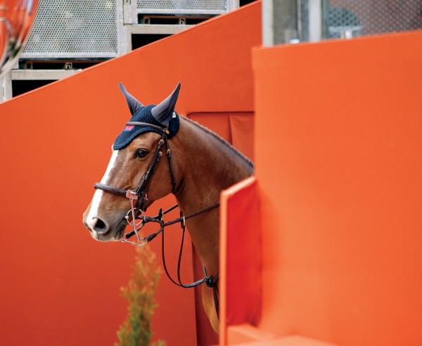 NUVO Magazine: Saut Hermès