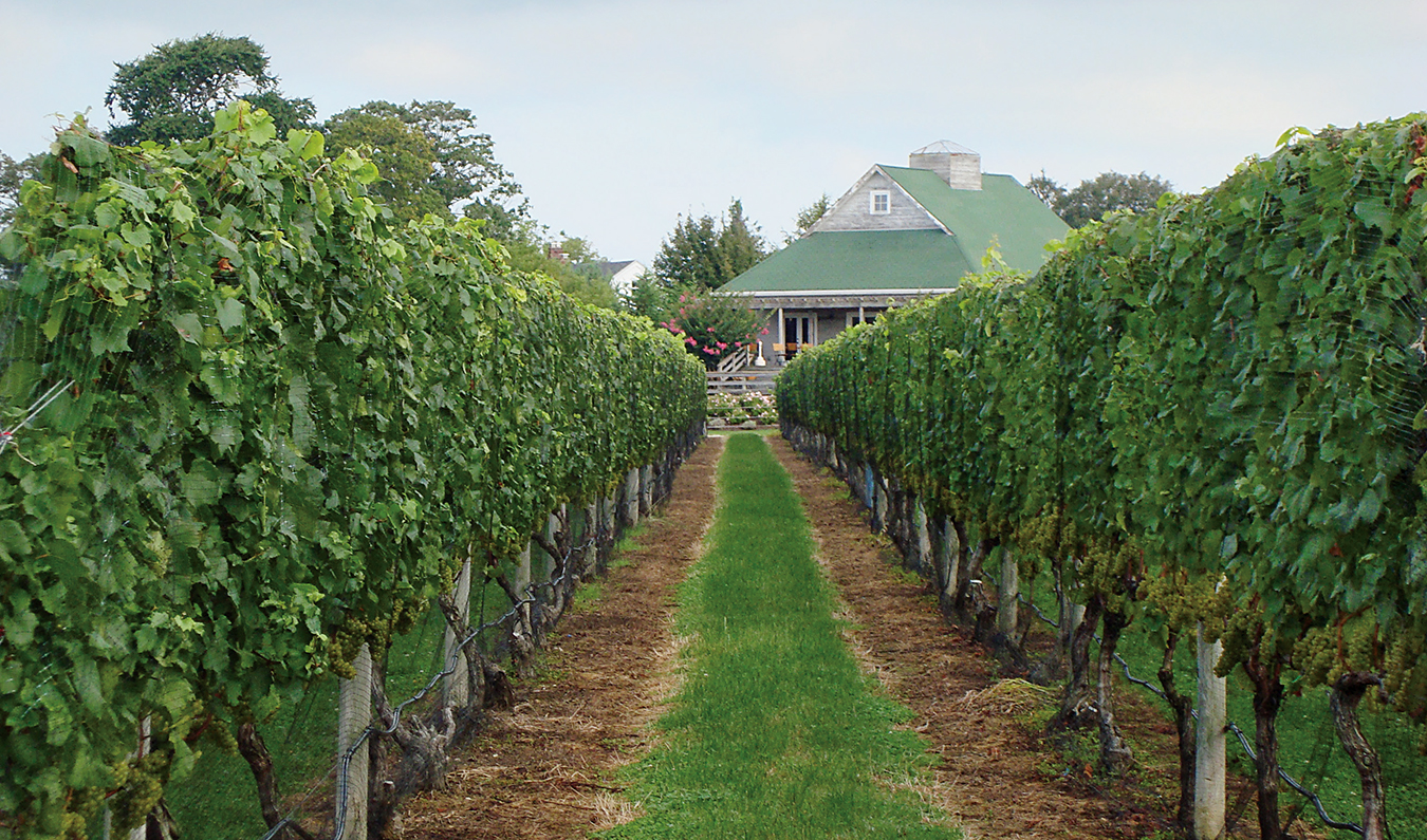 CheckMate Artisanal Winery Offers Remarkable Chardonnay and Merlot