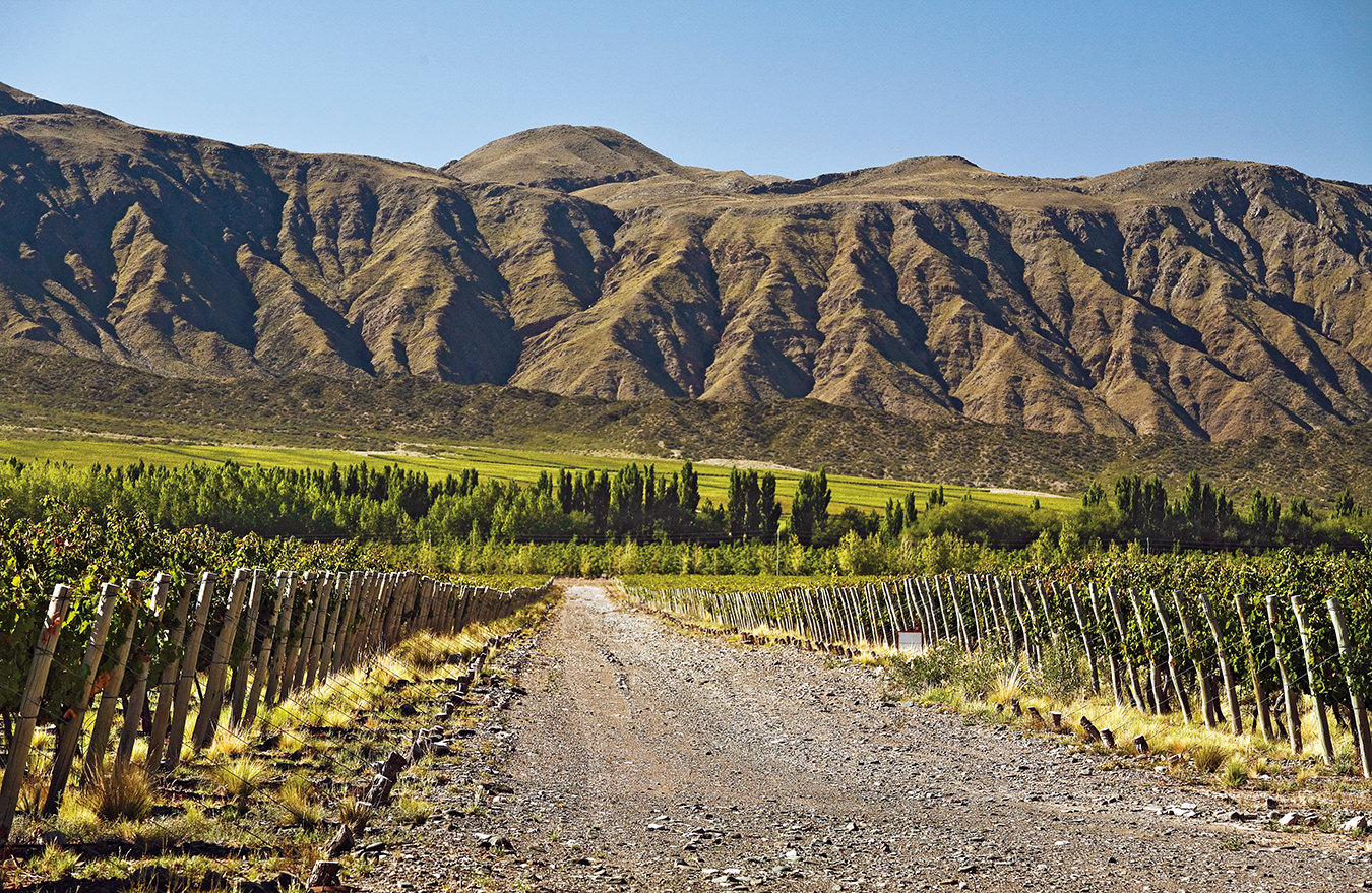 NUVO Magazine: Argentinian Wine