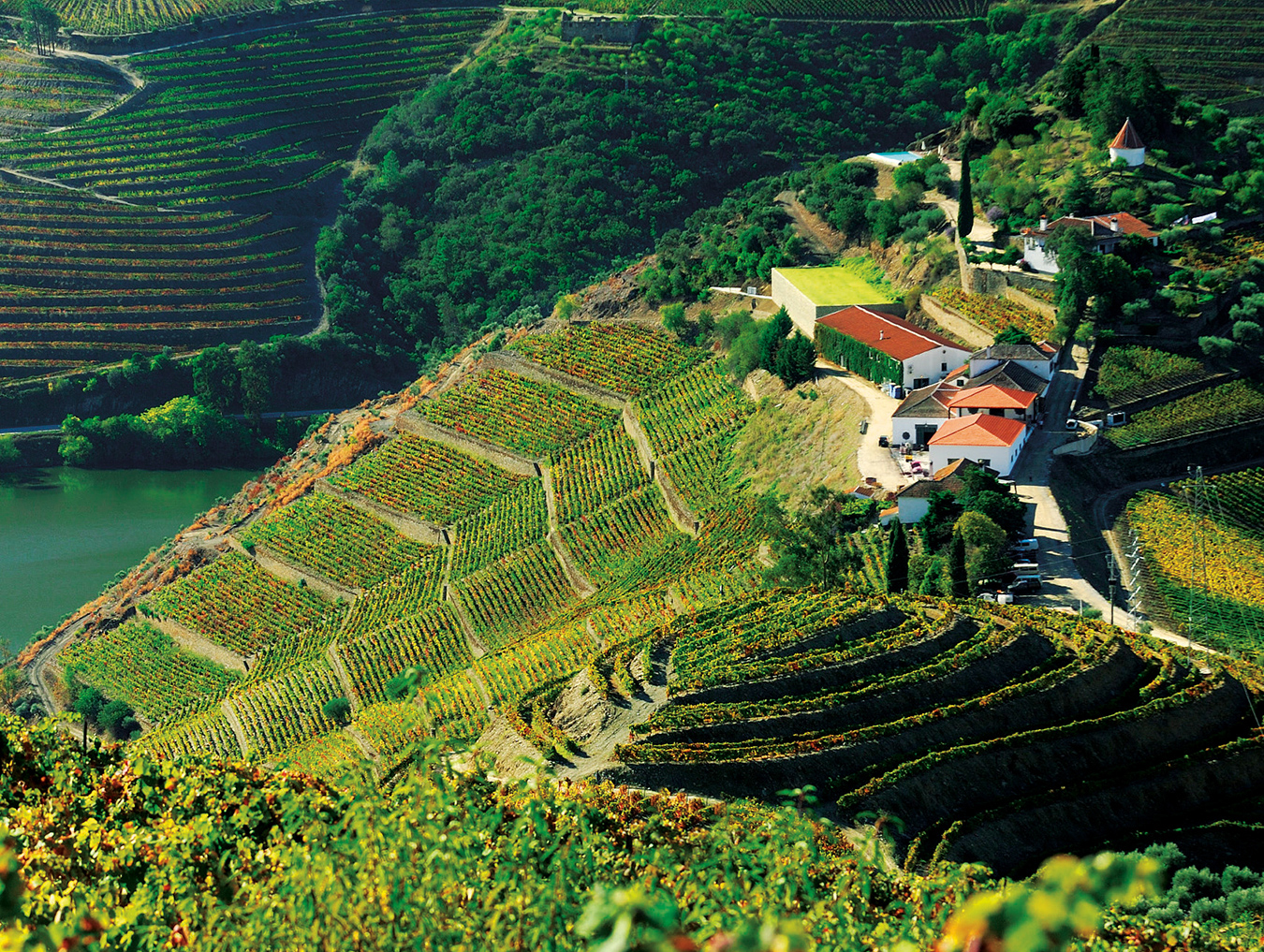 Celebrating 80 Years of Portugal's Mateus Original Rosé