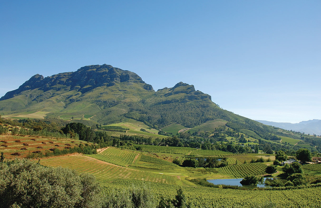 NUVO Magazine: Wines Of South Africa