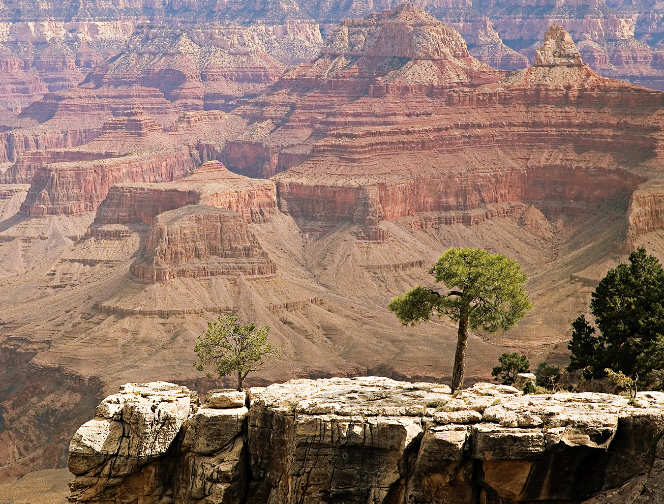NUVO Magazine: Arizona, The Grand Canyon State