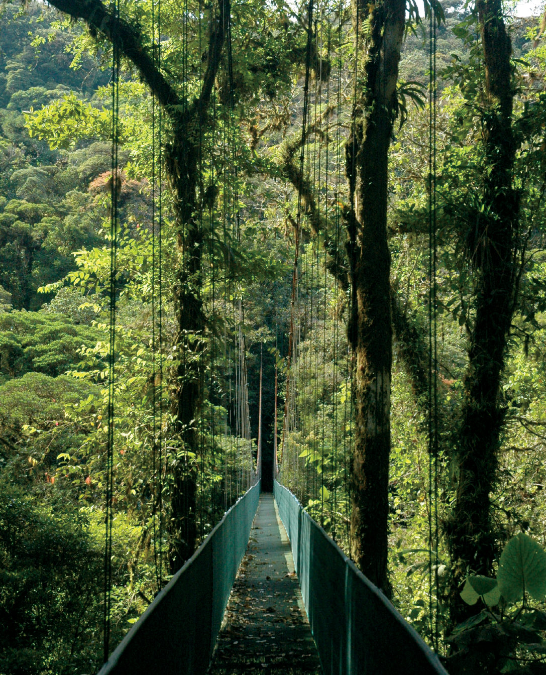 NUVO Magazine: The Pure Life Of Costa Rica
