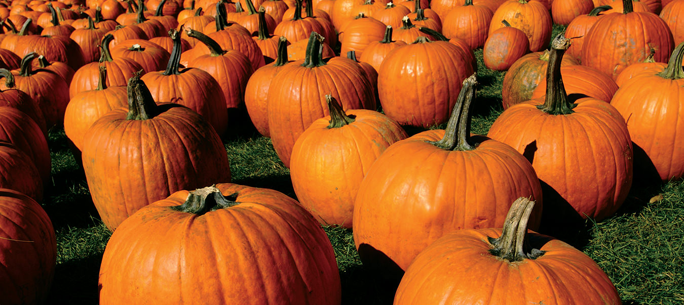 NUVO Magazine: The Keene Pumpkin Festival