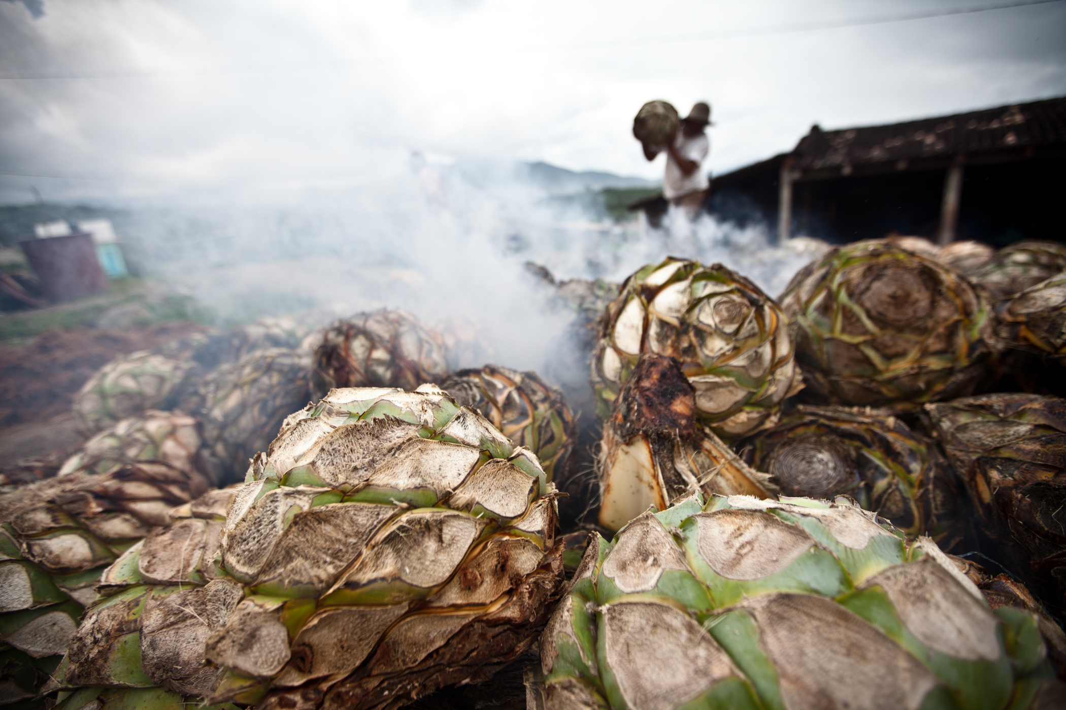 NUVO Magazine: Mezcal