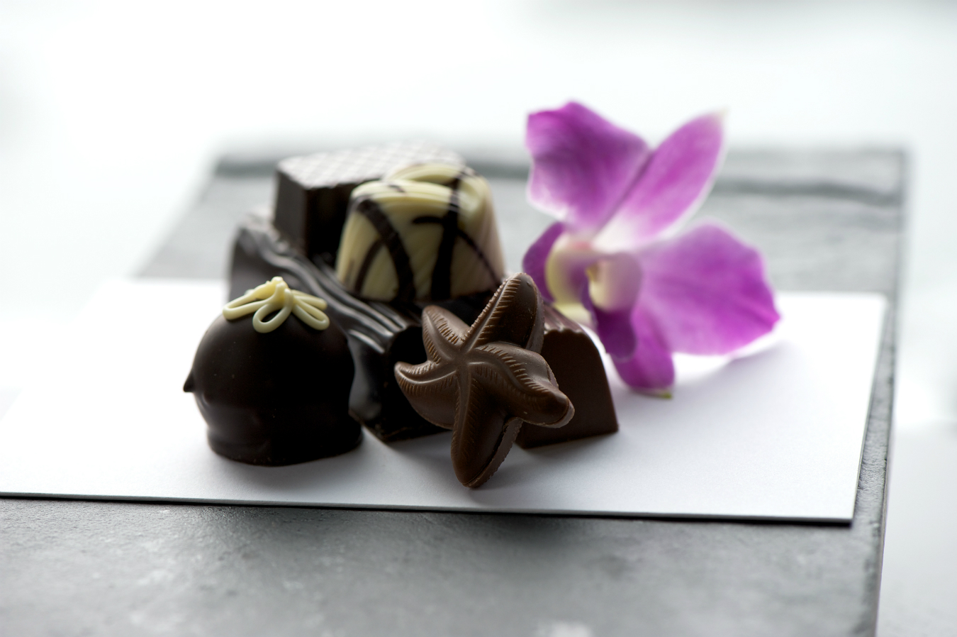 NUVO Daily Edit: Chocolate Tofino