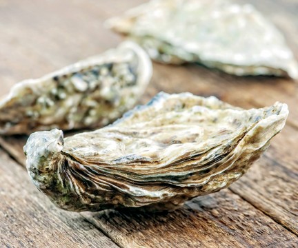 NUVO Magazine: FYI Food, Oysters