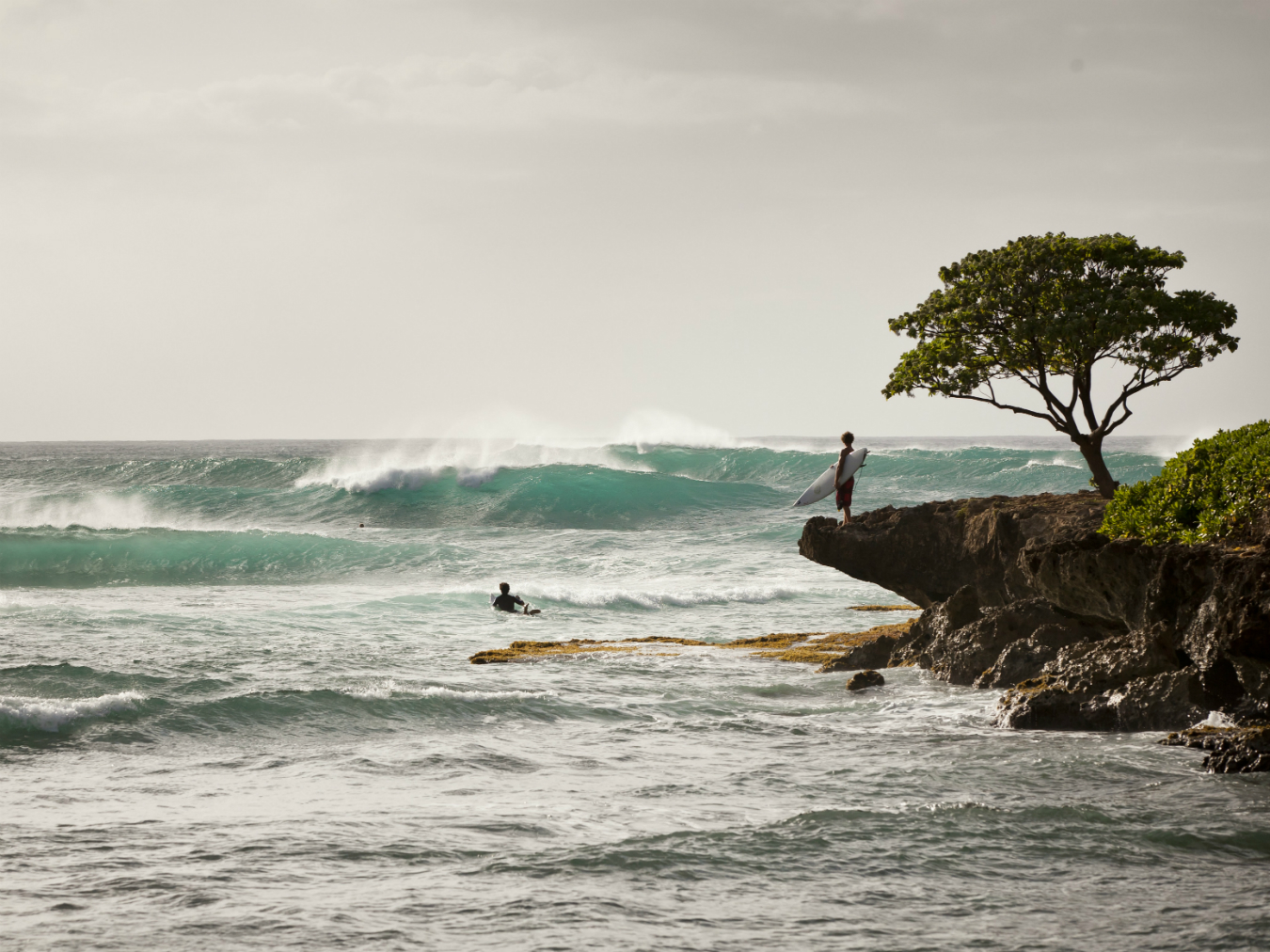 NUVO Daily Edit: Turtle Bay Resort