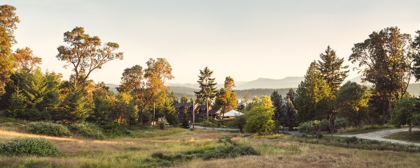 Daily Edit: Bodega Ranch