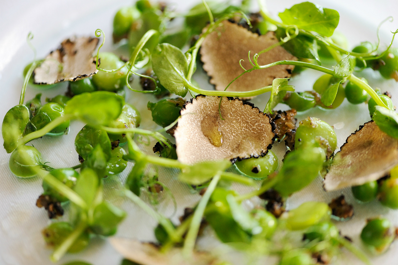 Daily Edit: Spring Salads, Warm Truffled Peas