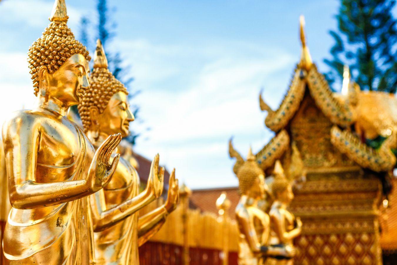 NUVO Summer 2016: Chiang Mai and Phuket, Thailand, Sentimental Traveller