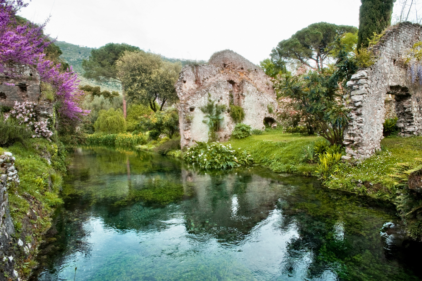 Daily Edit: The Garden of Ninfa