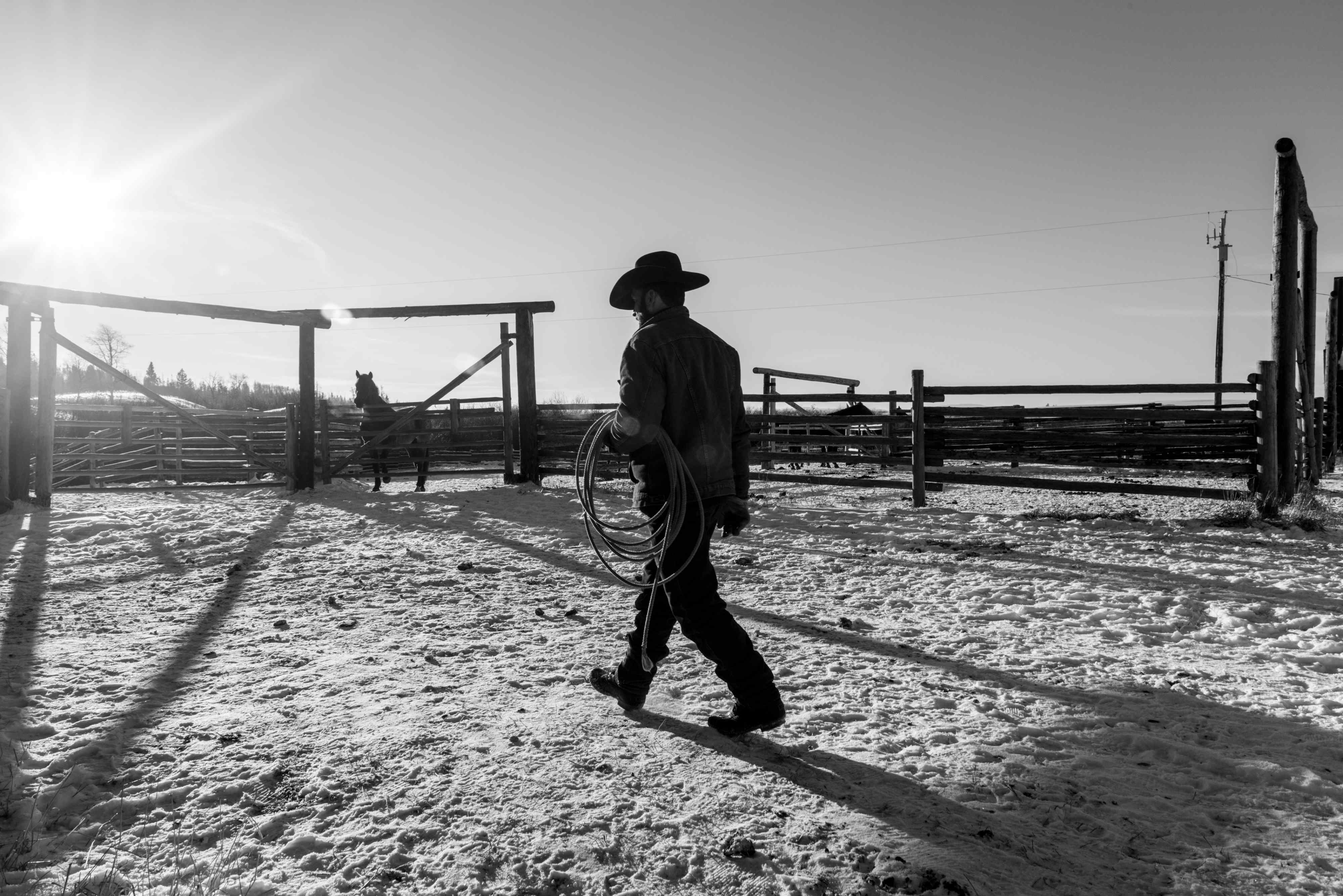 The Last Cowboys of Canada, Daily Edit, Luis Fabini