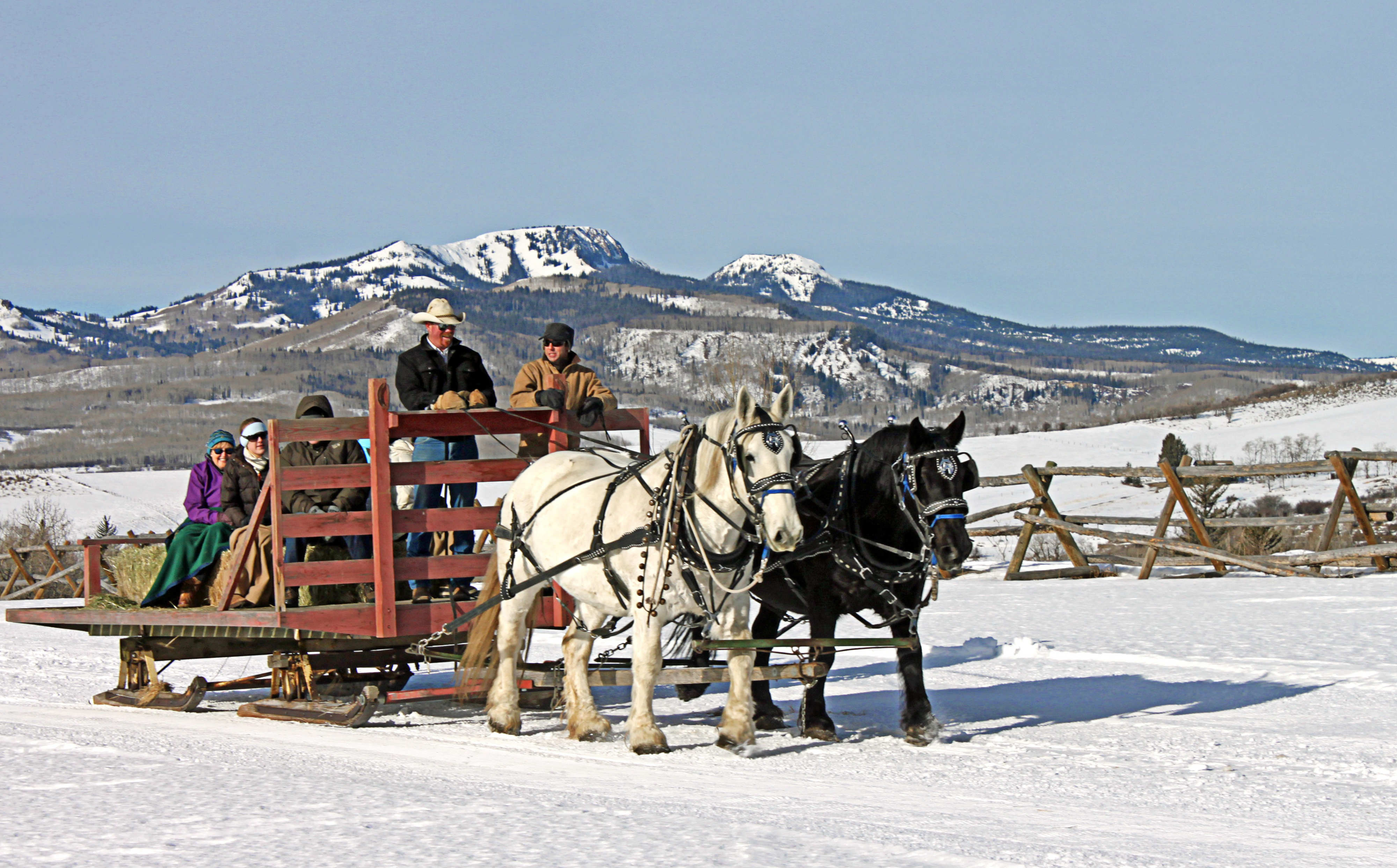 Daily Edit, Sleigh Rides