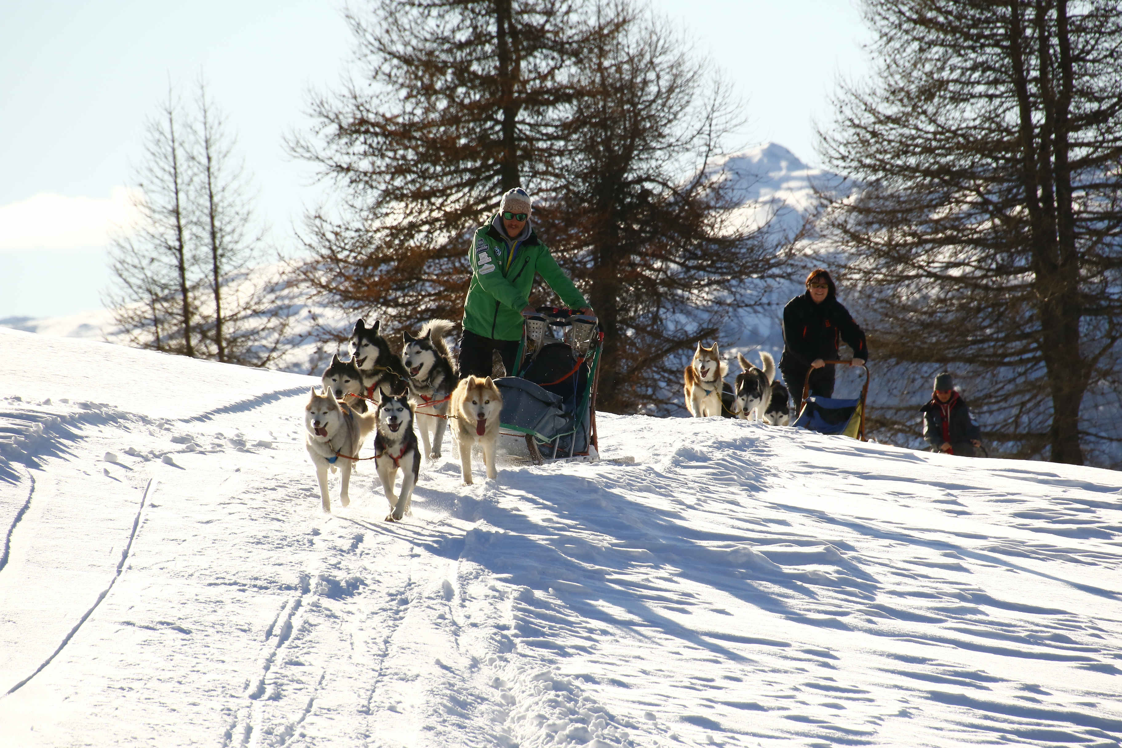 Daily Edit, Sleigh Rides