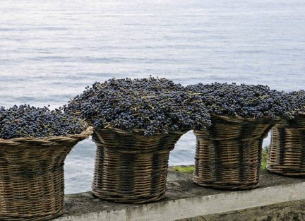 Winter 2016, Into Wine, Madeira Wine