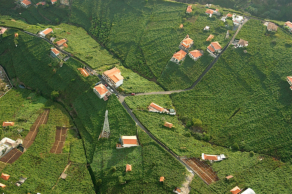 Winter 2016, Into Wine, Madeira Wine