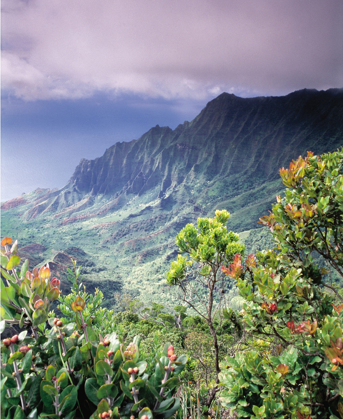 Kauai's Sunny South Shore