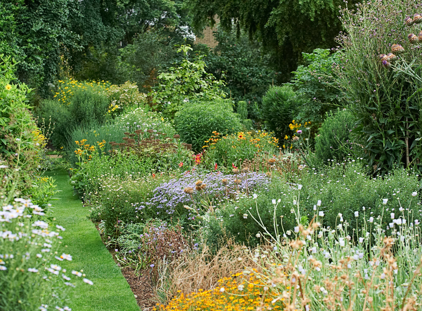 Inquiring Minds: Chelsea Physic Garden