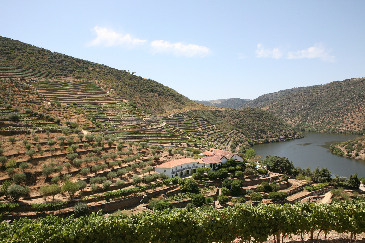 Portugal’s Douro Valley, Daily Edit