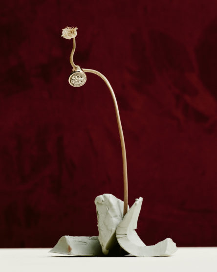 Art History, Portfolio, Winter 2017