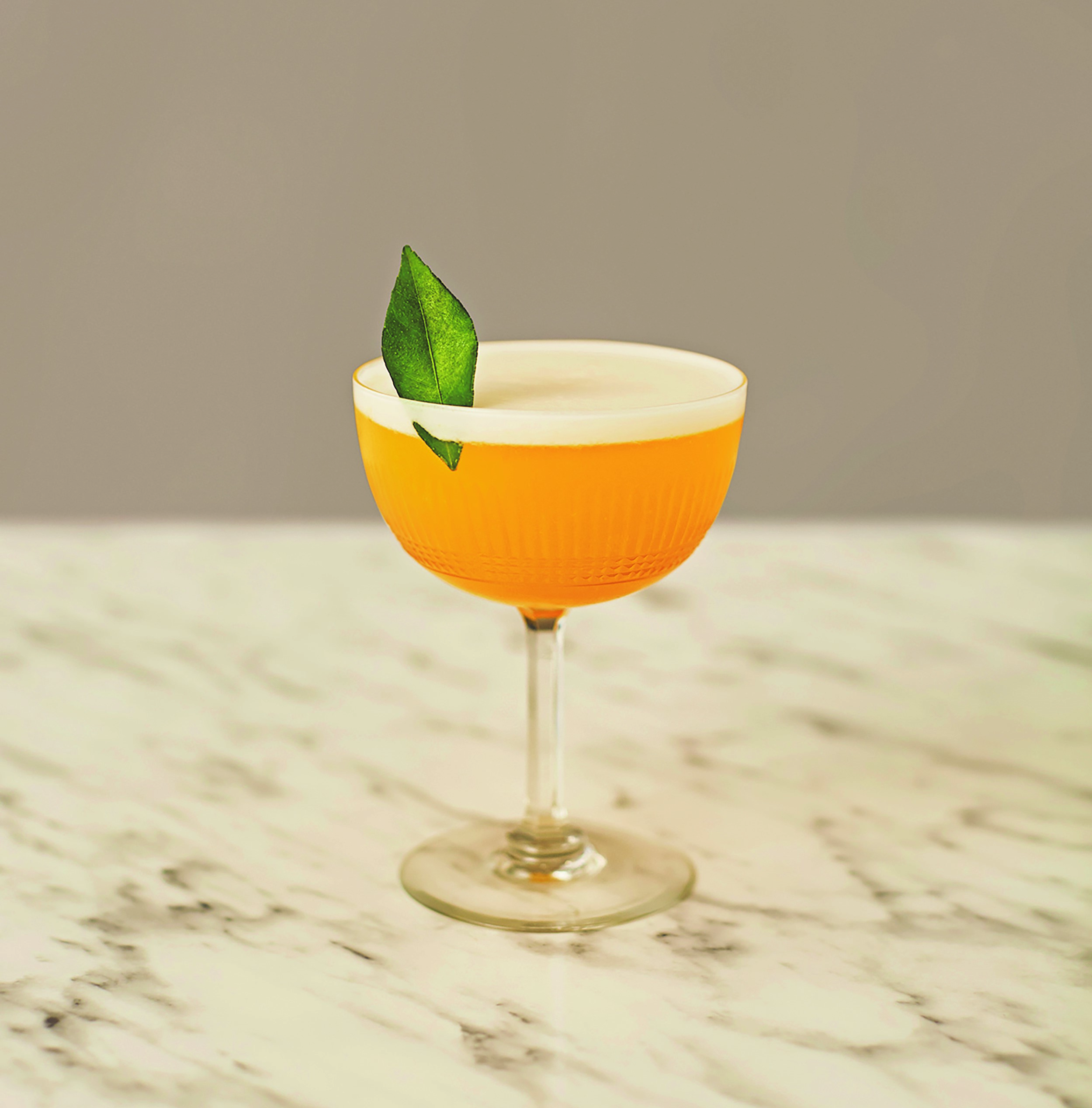 Death in Venice Cocktail