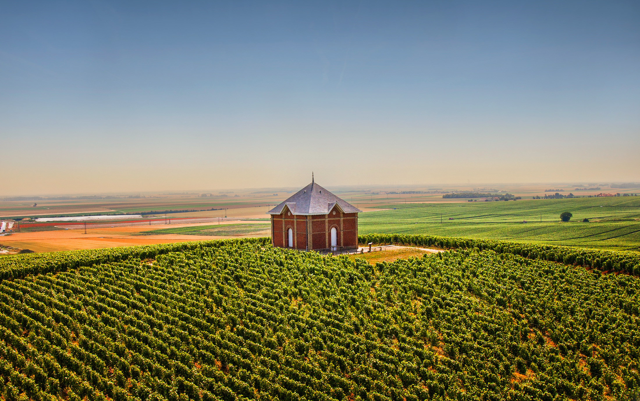 Moet Chandon Vineyards France Champagne House Stock Photo - Download Image  Now - Moët & Chandon, Champagne Region, Vineyard - iStock