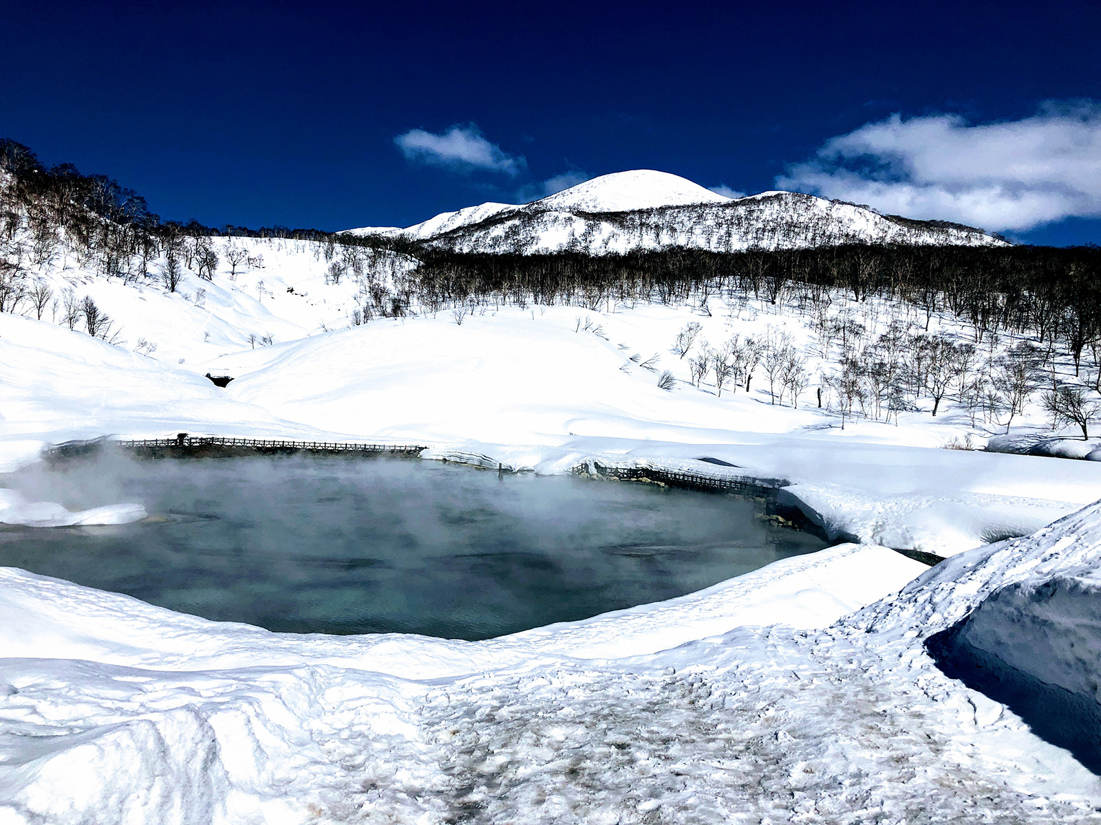 hokkaido travel january