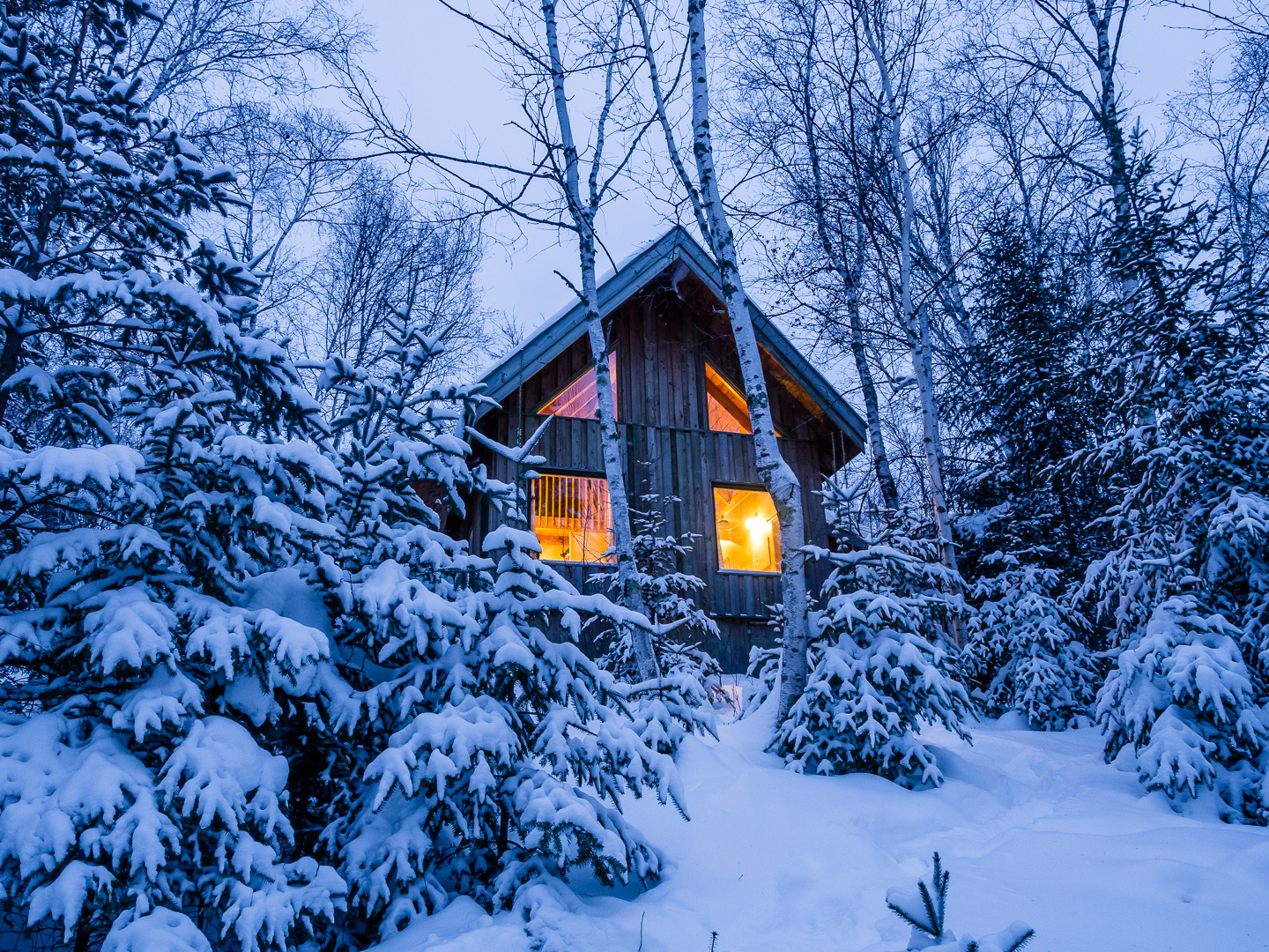 A Cabin at Falcon Trails