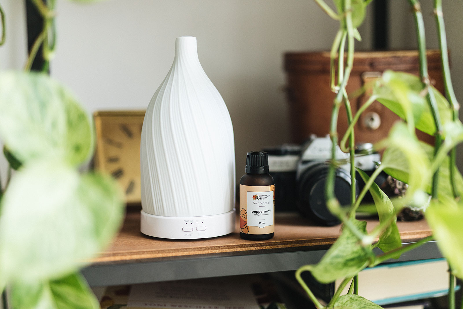 Fern + Petal A Canadian diffuser company