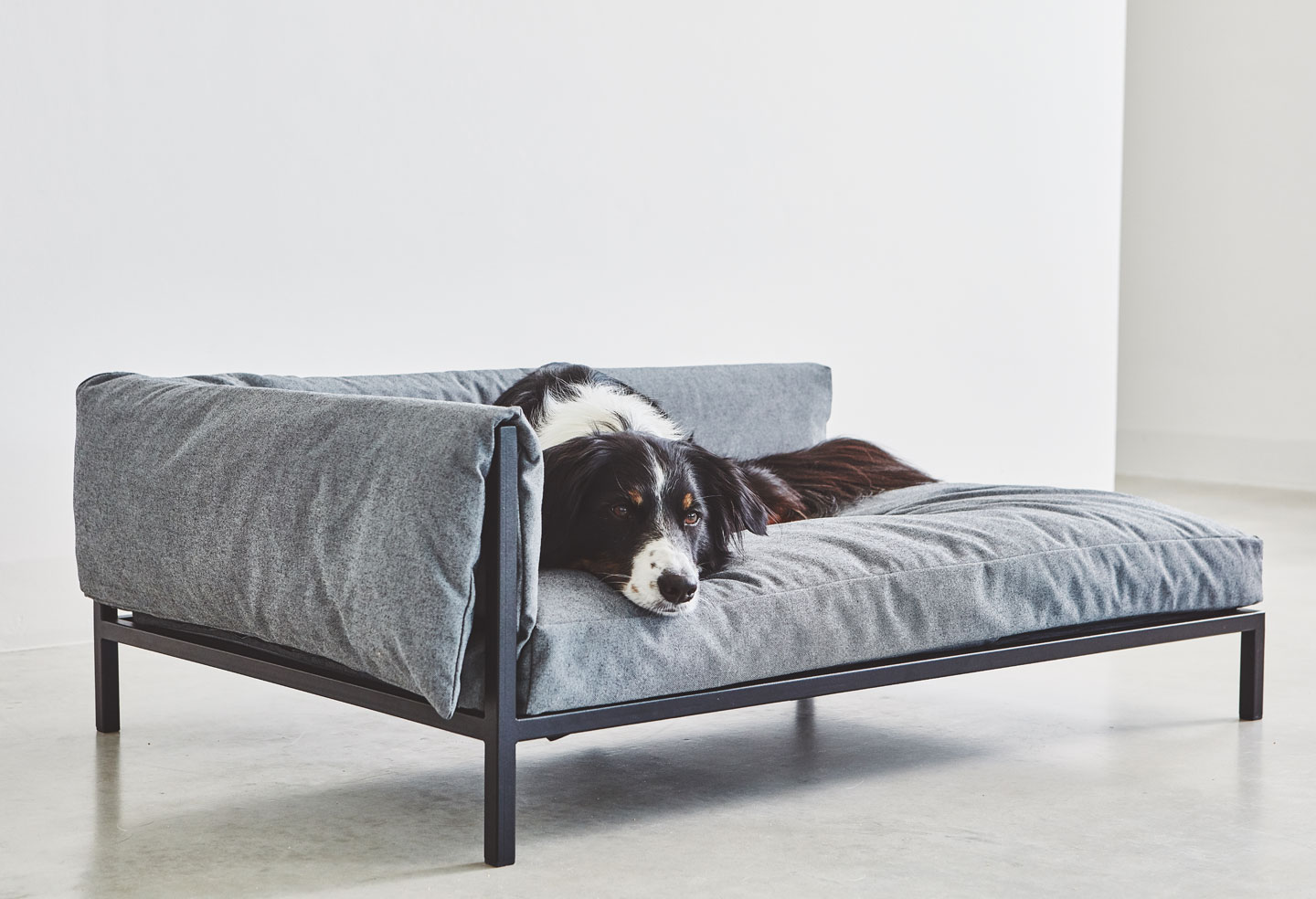 Design-Forward Pet Furniture That Purrfectly Blends in With Your Home ...