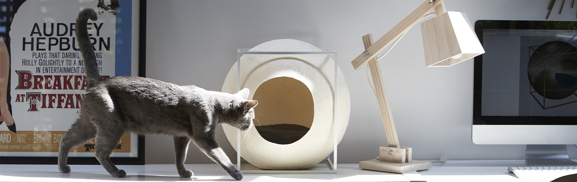 Design Forward Pet Furniture That Purrfectly Blends in With Your