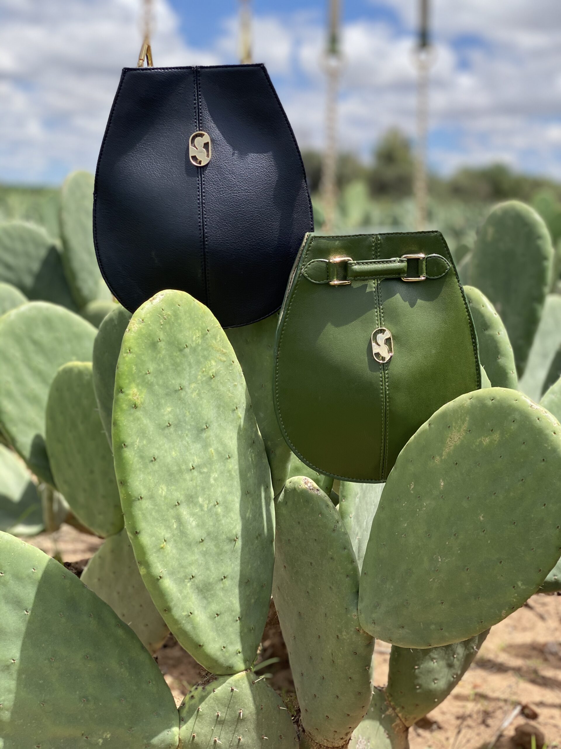 Cactus Leather: A Sustainable Vegan Solution Or A Prickly Subject?