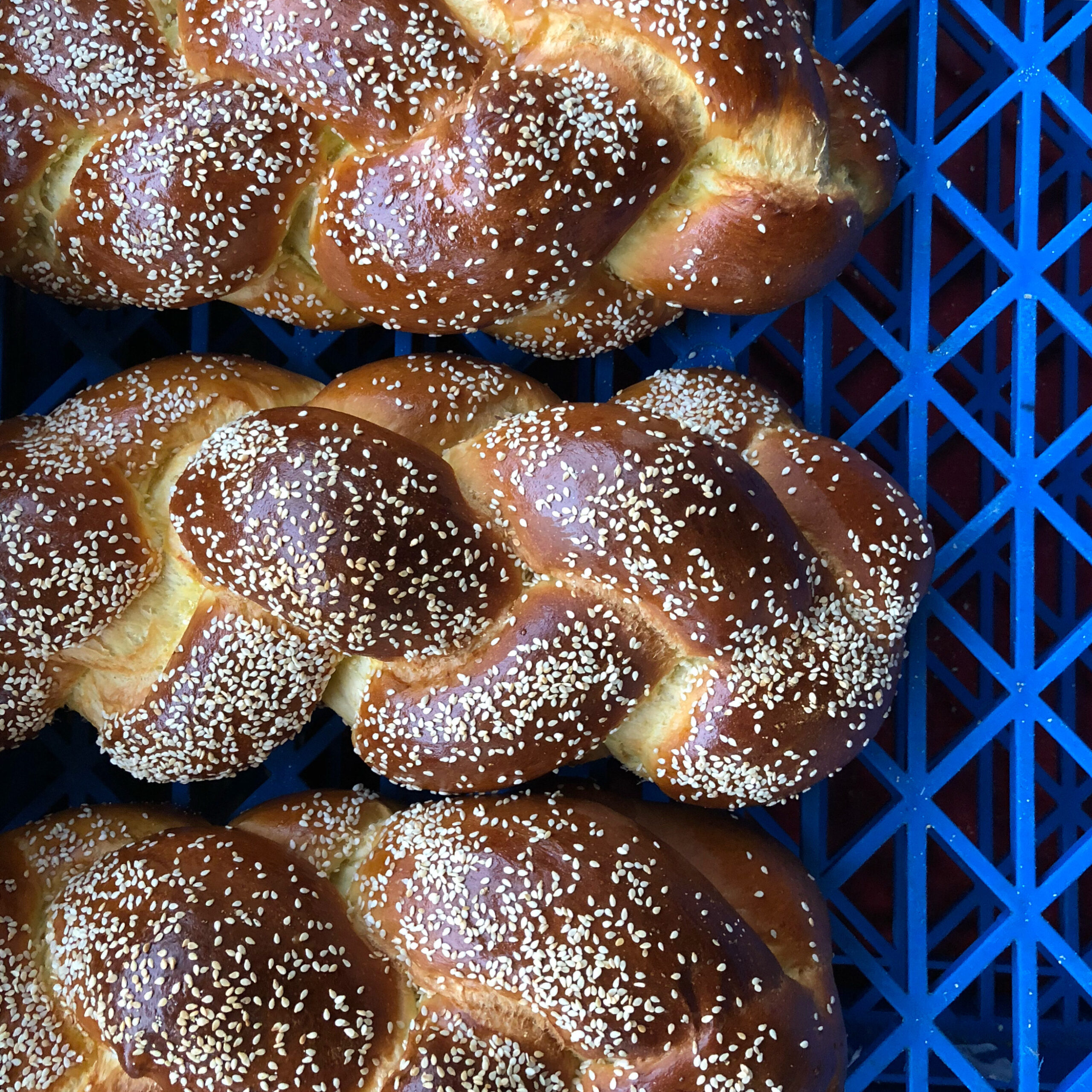 Toronto challah bread 