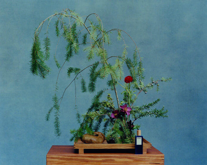 Sensory Exploration With the Launch of Loewe's Botanical