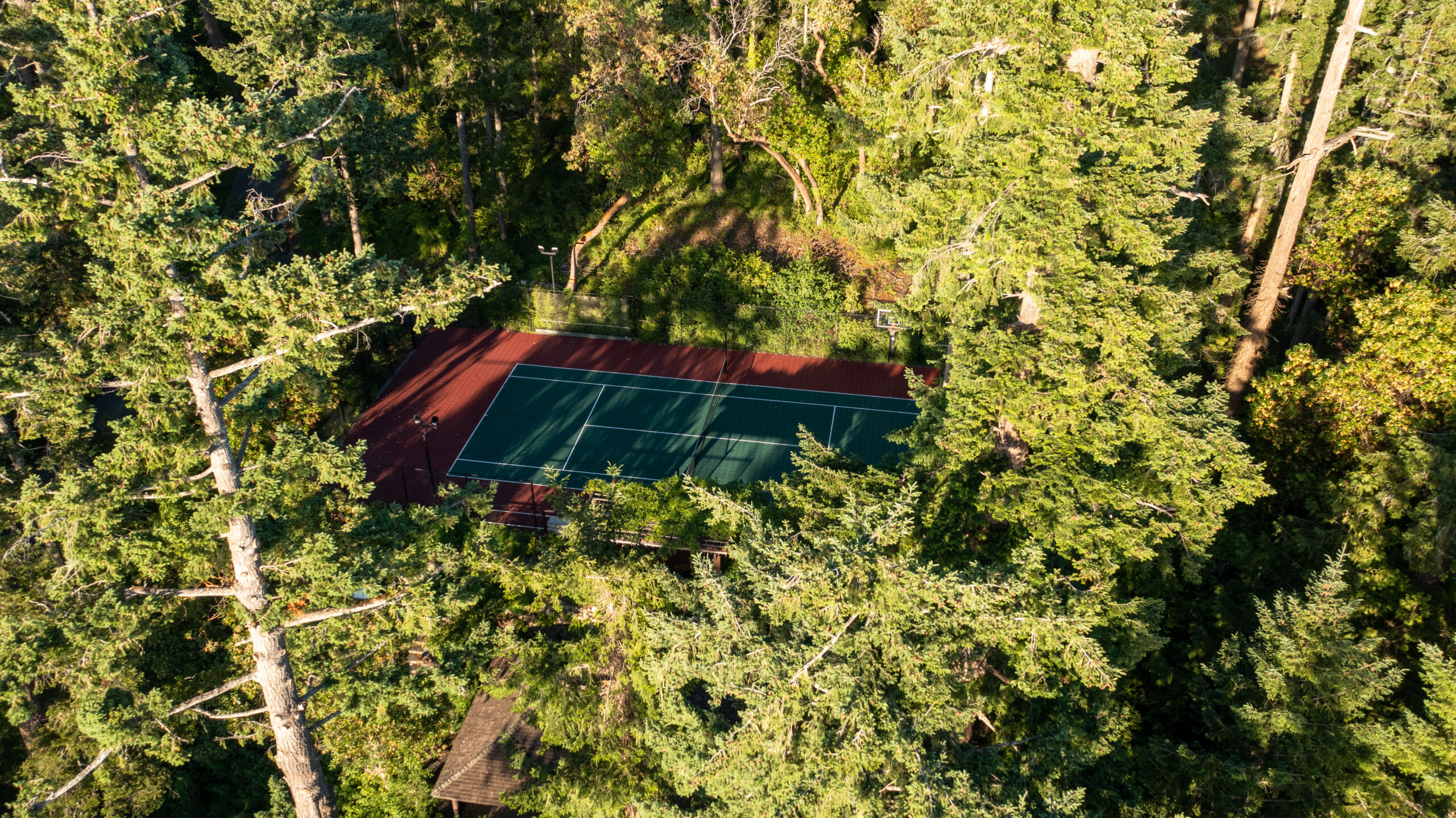 wooded tennis court