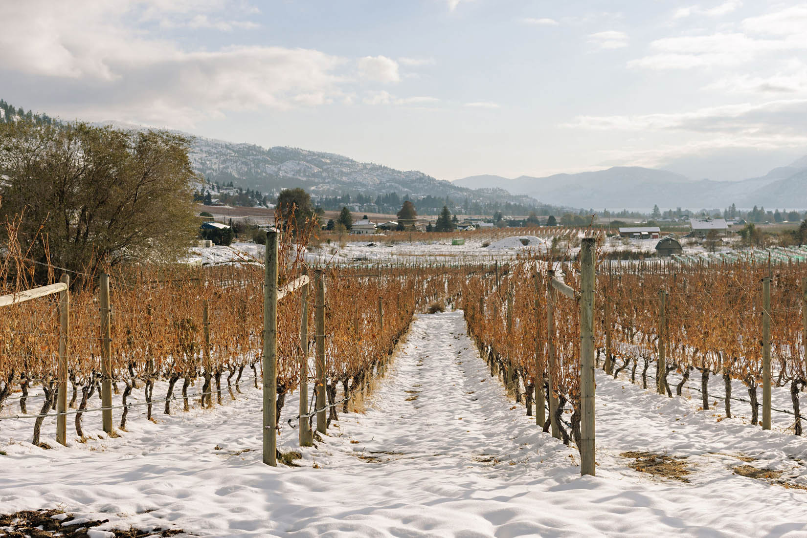 CheckMate Artisanal Winery Offers Remarkable Chardonnay and Merlot