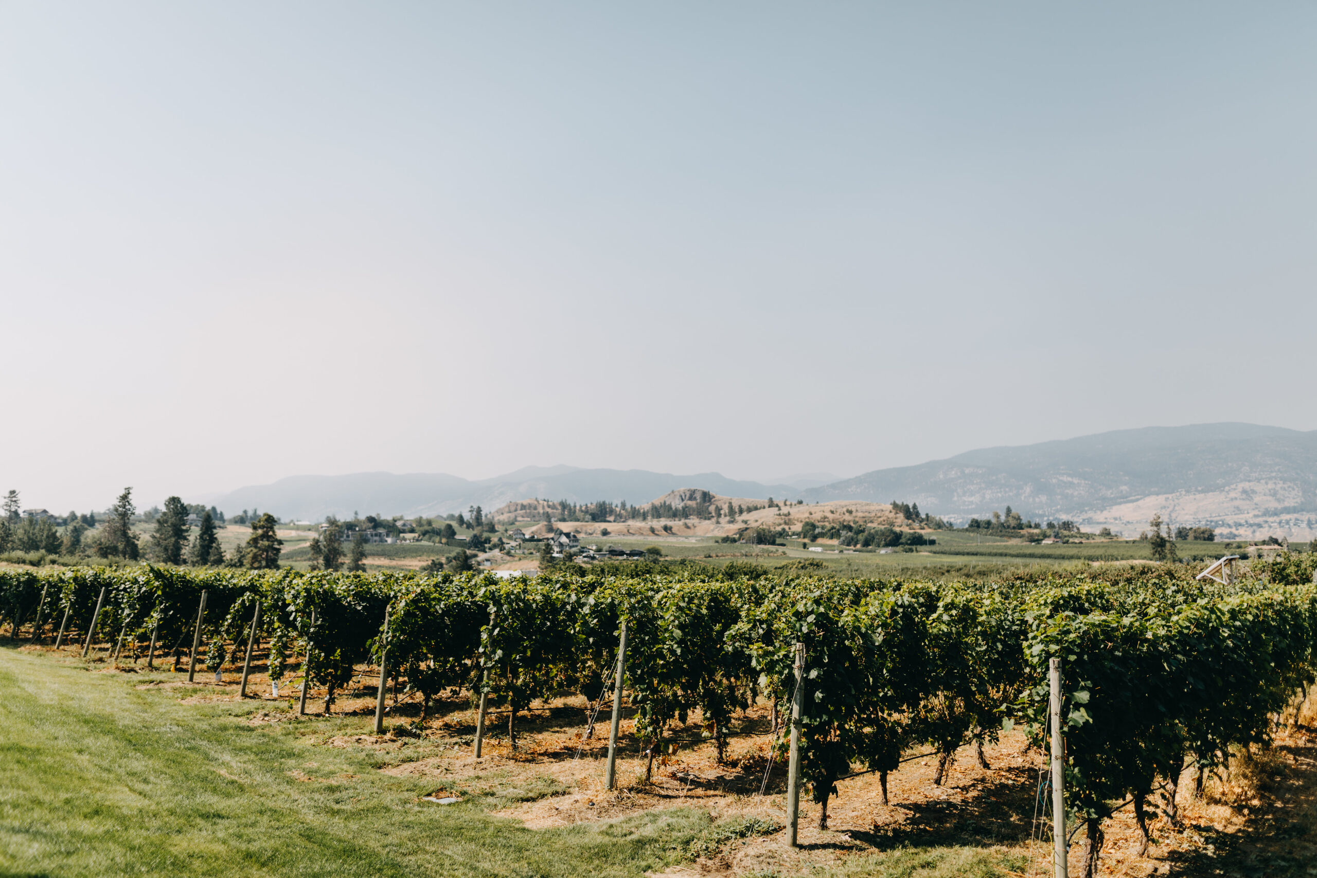 The Spirit of Experimentation Is Rife at the Okanagan's Red Rooster Winery