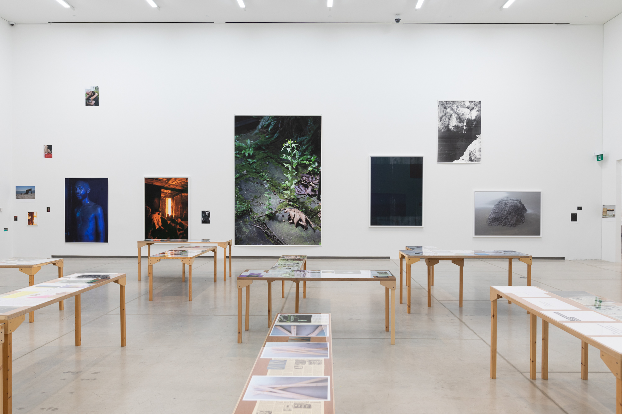 Inside Wolfgang Tillmans's AGO Show: A Walk-Through With the 