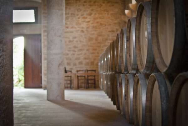Sicily Italy wine in barrels