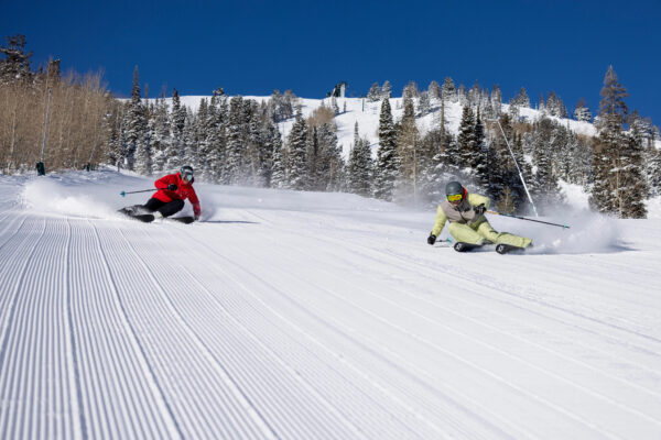 Downhill skiiers