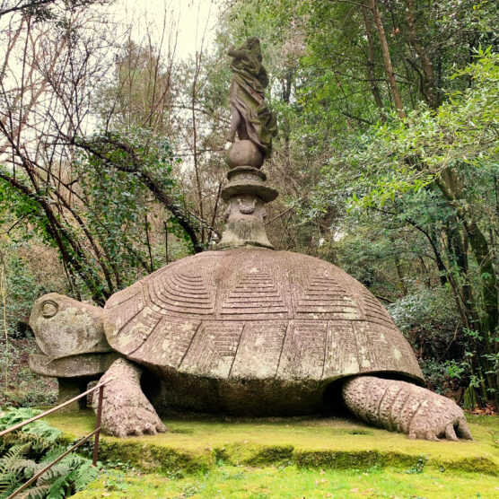 Sacro Bosco tortoise