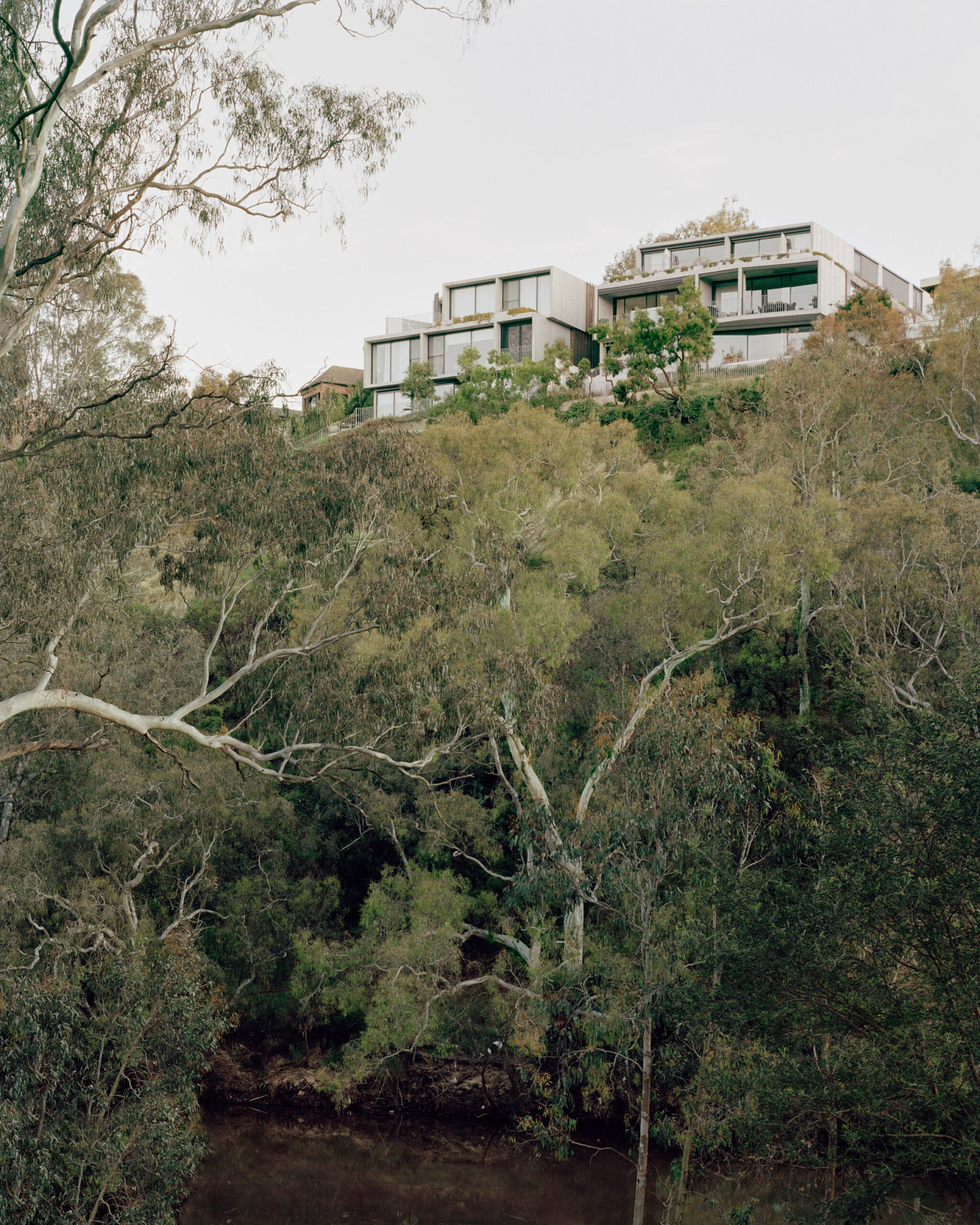 Fenwick view Yarra River